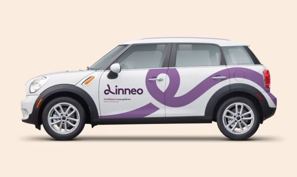 Vinilos para vehículos